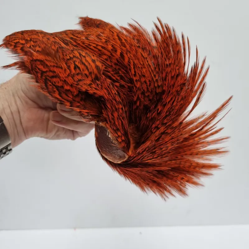 Whiting Coq de Leon Hen Cape in Speckled Orange-8